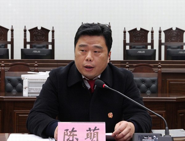陈萌院长照片.JPG
