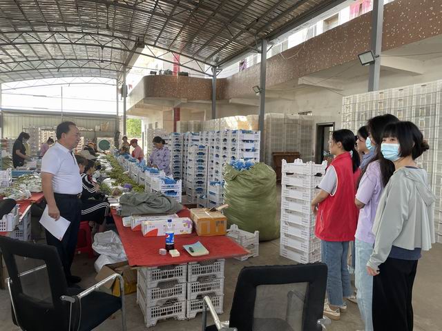 调整大小 打扫宣传  (5).jpg