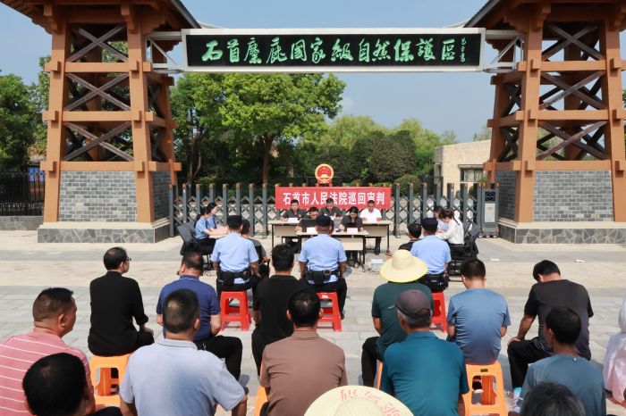 庭审现场.jpg